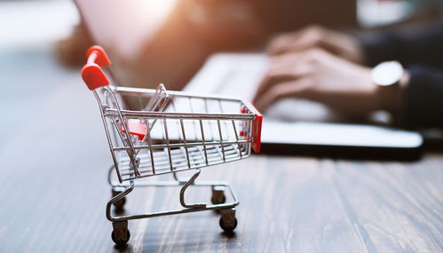 可持續(xù)盈利性二手商品銷售的經(jīng)營者責(zé)任